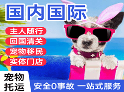 无锡空运代理国际宠物托运 【国